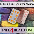 Black Ant Pill new13